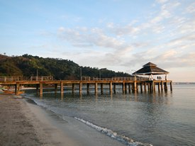 Driftwood Beach