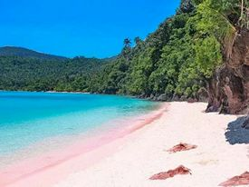 Pink Beach