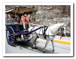 Picture of a carriage and horse.